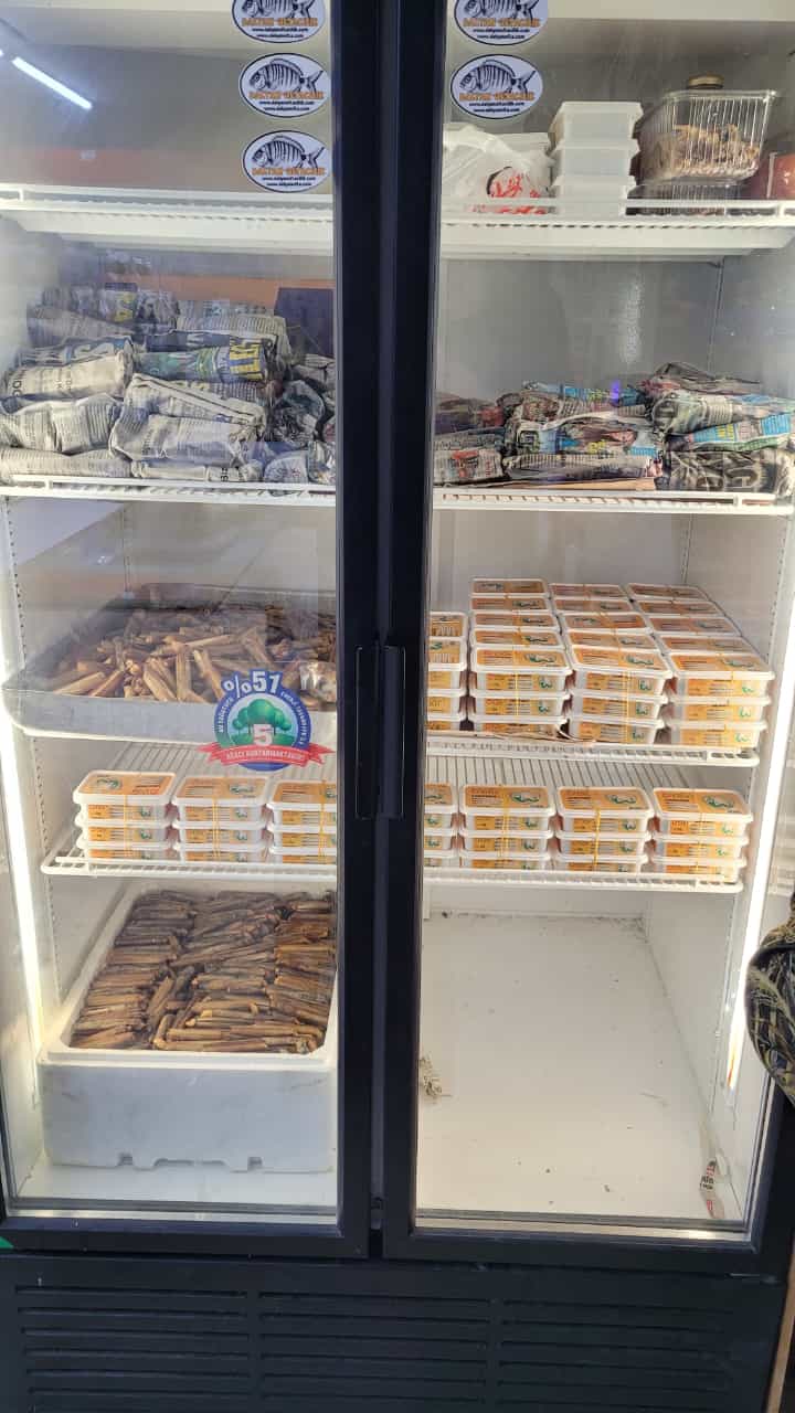 İstanbul'un Canlı Yem Lideri: YouTuber'ların Tercihi Dalyan Oltacılık