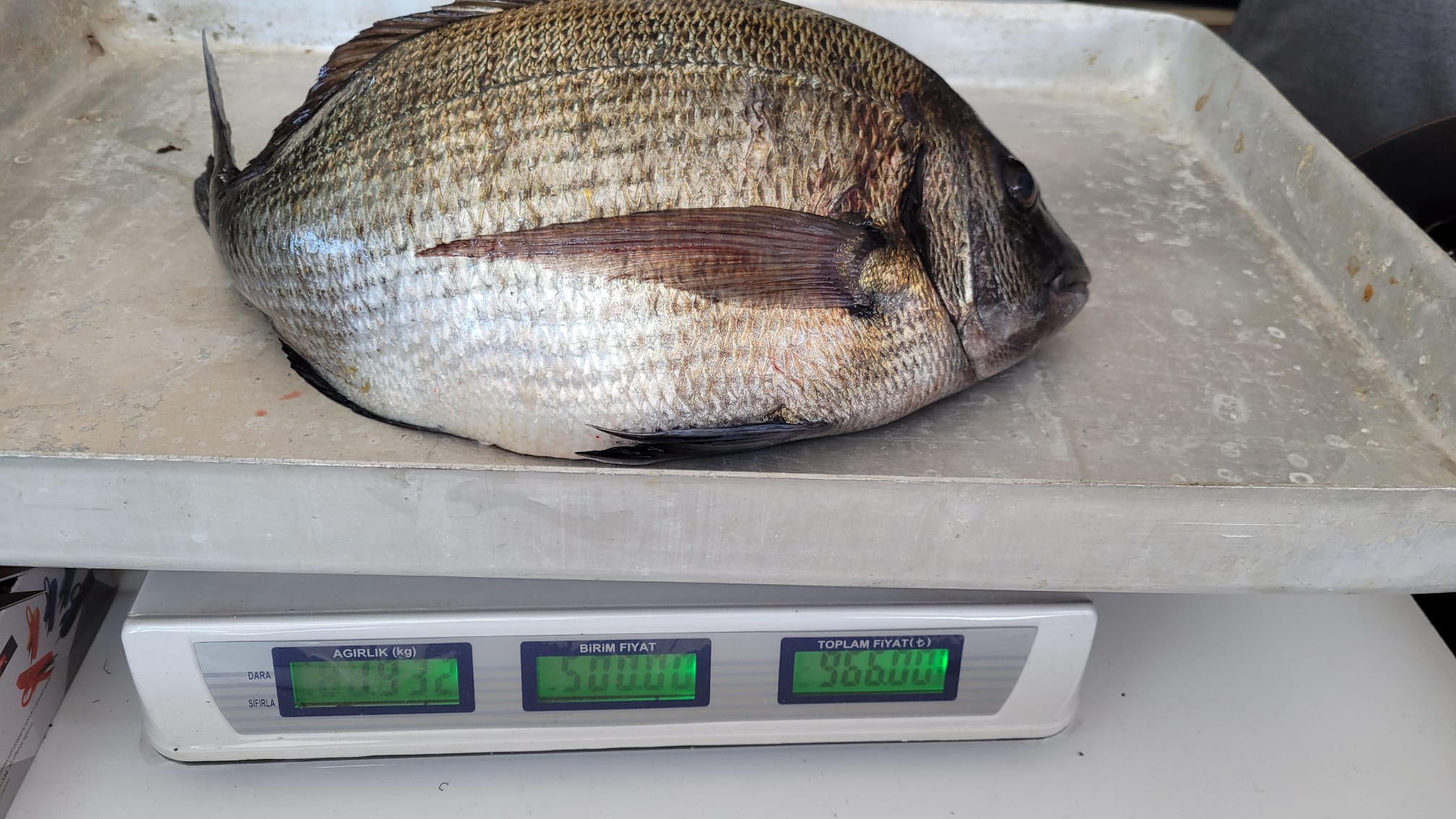 canliyemmarket.com (satın alma odaklı seri)