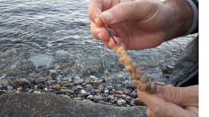 Dalyan Oltacılık | Profesyonel Yem Bağlama Teknikleri ve Malzeme Kalitesi