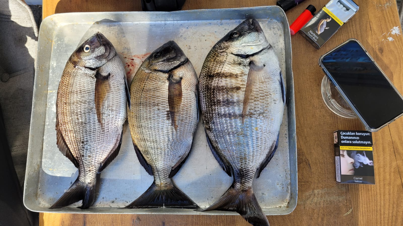 Karagöz Avı İçin Yem ve Takım: Midye İçi ve Kayalığa Dayanıklı Strateji