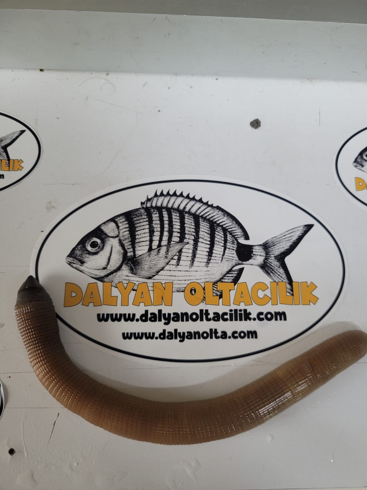 Canlı Bibi Nasıl Takılır? En Etkili İğneleme Teknikleri