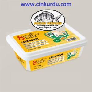 Lugworm Kullanımı: Surf Casting ve Dalyan Oltacılık Rehberi