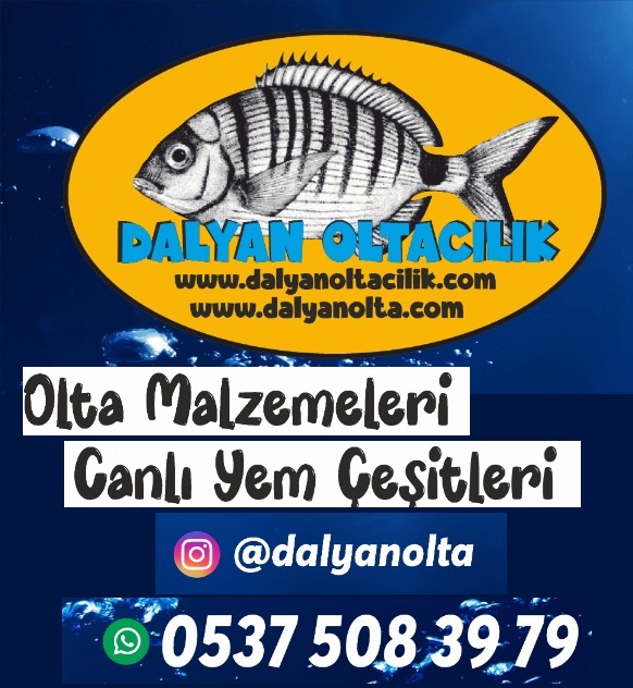 Çılgın Yem  ile Kıyı Balıkçılığında