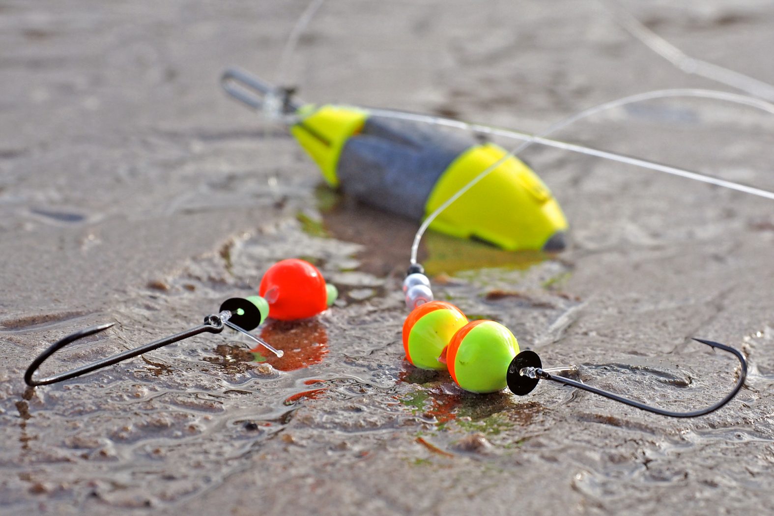 Dip Takımının Avcılığı Neye Bağlıdır?