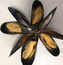 Online Canlı Yem Siparişi Güvenli mi?