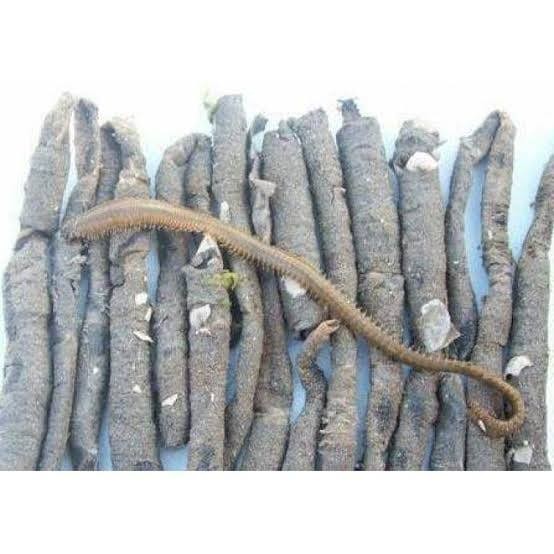 Siparişleriniz, canlılığını koruması için özel tasarlanmış soğuk zincir kutularında paketlenir. Türkiye'nin her yerine en hızlı ve güvenli şekilde kapınıza teslim edilir.