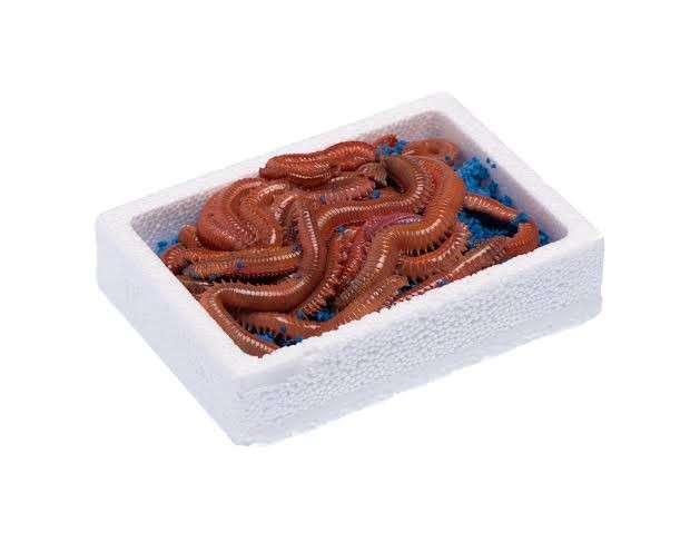 Avınıza Hazır, Uzun Ömürlü Yemler