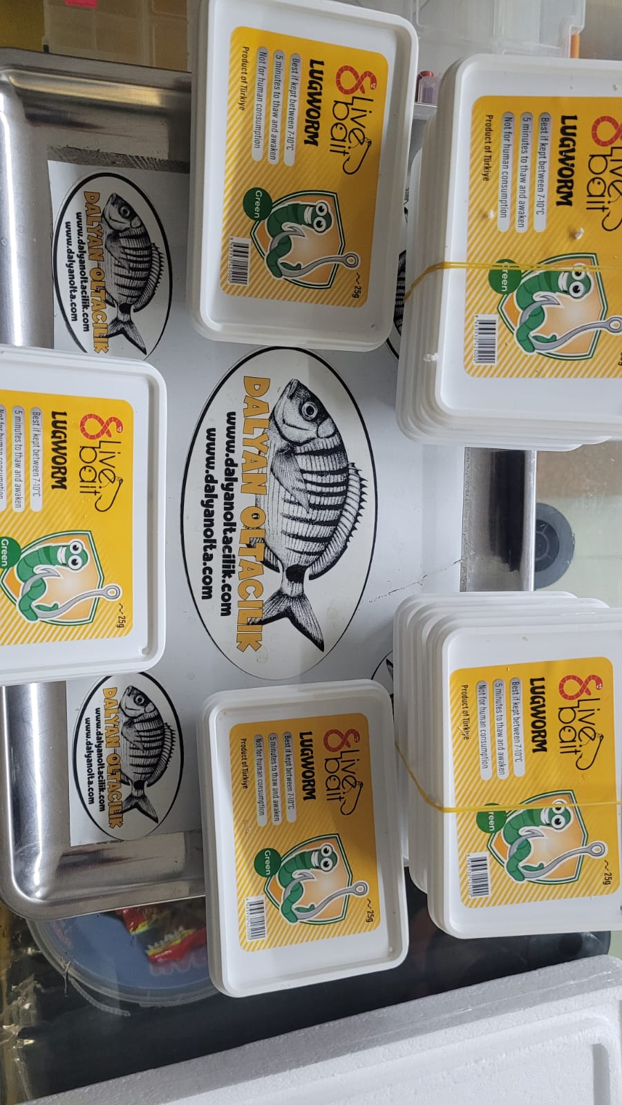 8 Live Bait, 8 Live Bait Çin Kurdu fiyatları, Live Bait Lugworm nedir, Çin kurdu nerede bulunur, Çin kurdu nereden alınır, Live Bait Türkiye distribütörü, Live Bait Antalya bayisi, Live Bait İzmir satış noktası, Canlı Çin kurdu satan yerler, Lugworm canlı