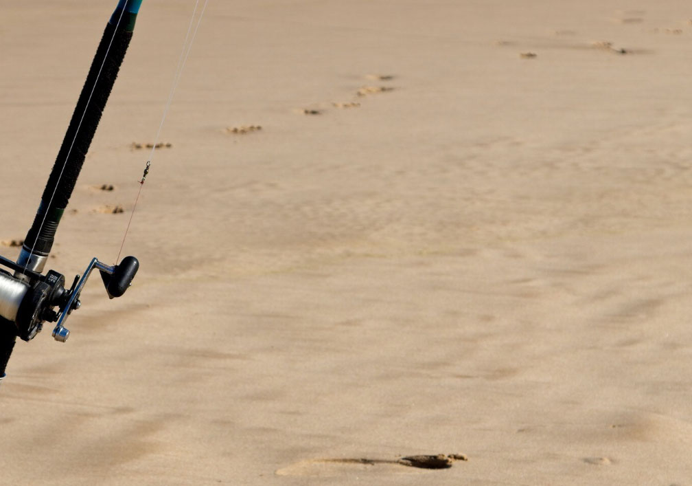 Jigging, casting ve trolling teknikleri için uygun misina