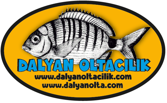 Dalyan Oltacılık